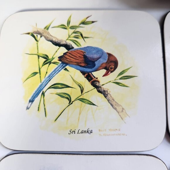 Chelsy Coasters Tropical Birds Sri Lanka Set of 6 W/ Box Acrylic Cork - Picture 2 of 10